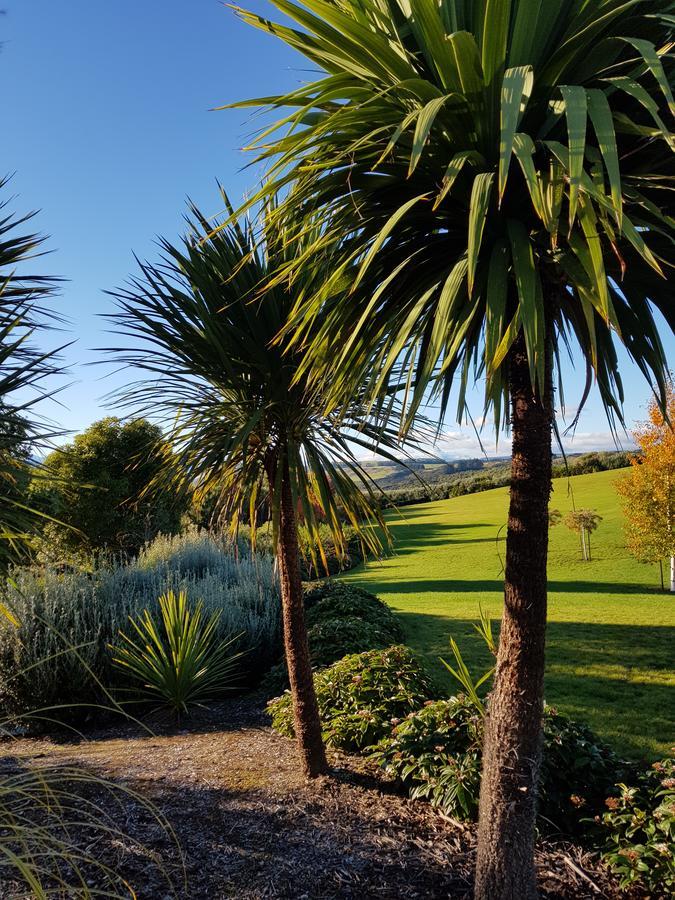 Murchison View Studio Te Anau Exterior photo